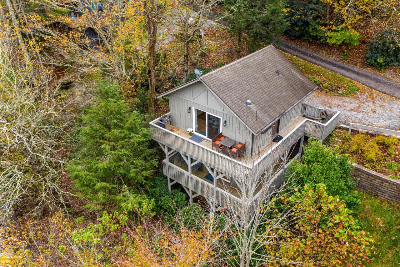 Mogul Road Cottage Баннер-Элк Экстерьер фото